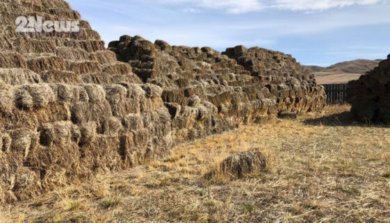 487246078_1011306117213580_1060523020309713004_n