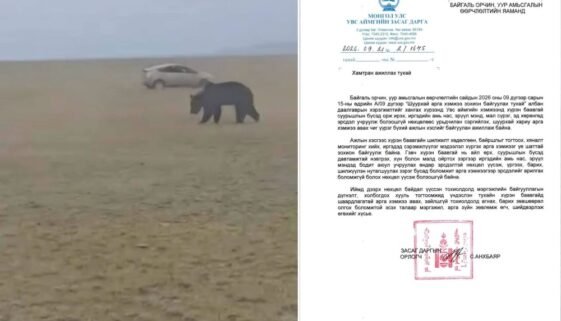 -27092026-1790496150-430857335-baavgai_bichig_hondlon_evluulsen